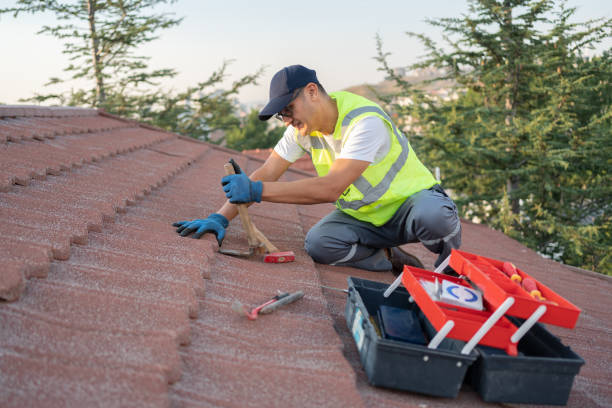 Best Best Roofing Contractors  in Afton, WY